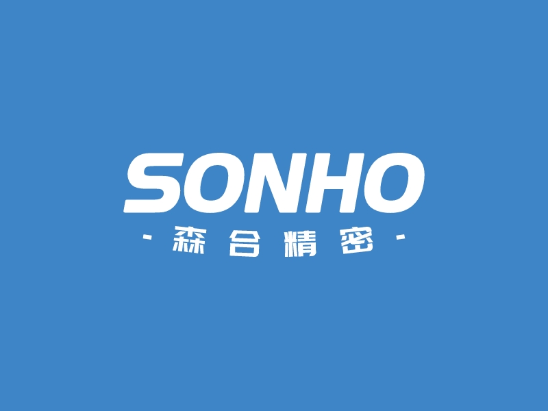 SONHOLOGO設(shè)計(jì)