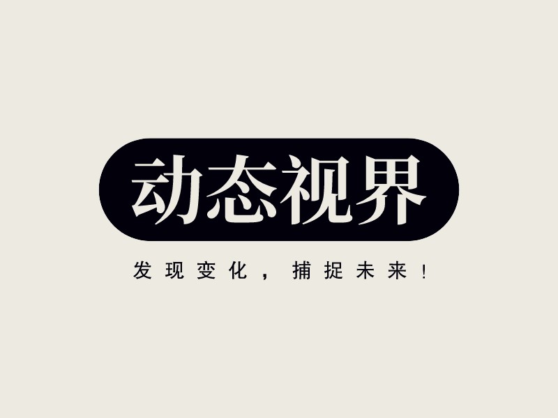 動態(tài)視界LOGO設(shè)計